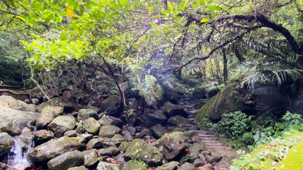 新北石門|老梅溪青山瀑布步道|台版奧入瀨溪|夏日消暑秘境|清涼親子景點1975465