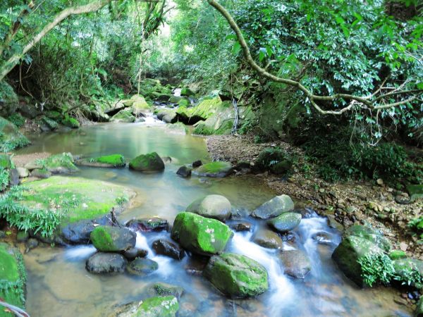 大溝溪親水公園、圓覺瀑布230799