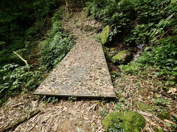 [淡蘭古道] 2026_0531 北路第一段_燦光寮古道(下)-牡丹溪畔3070956