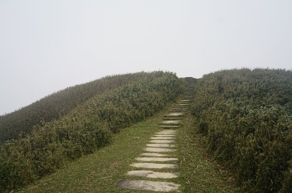 灣坑頭山 桃源谷步道 連走2034840