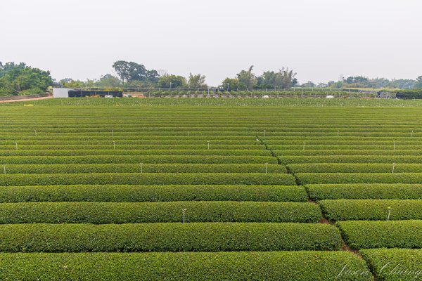 [南投]松柏坑山2683284