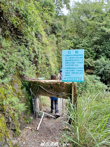 【嘉義縣阿里山鄉】避暑山林芬多精。 石山引水道步道、鹿林前山瀑布2280184