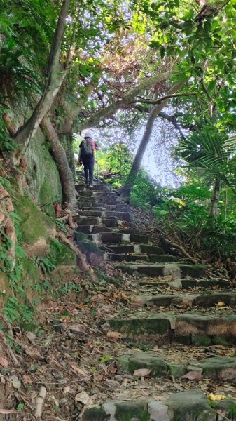 新店碧潭輕鬆走2991994