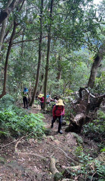 大艽芎古道縱走 新/溪州山(小百岳#23) 出溪州公園2893949