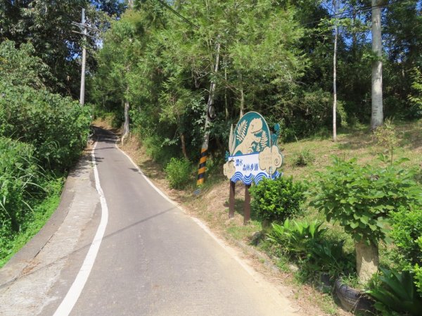 澀水森林步道(+水上瀑布)2915712