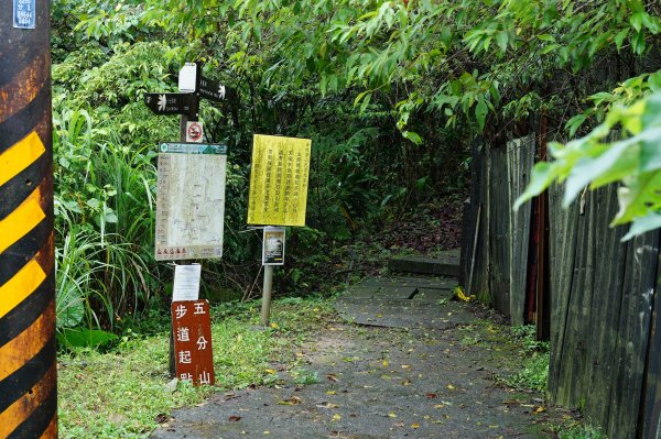 新北 瑞芳 頂子寮山、五分山2615507