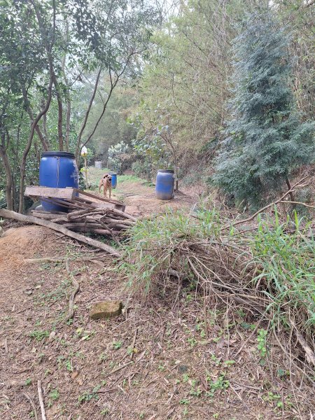 頭份鹿廚坑健行步道2734327