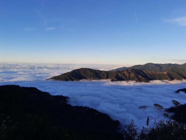 《新竹》觀霧走榛山｜觀雲海202011281190159