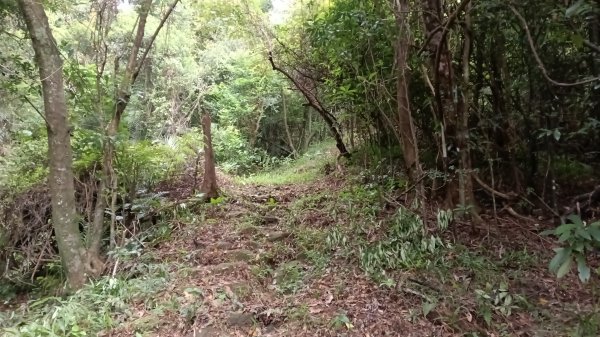 月眉洞步道-仙洞湖山未果3115490