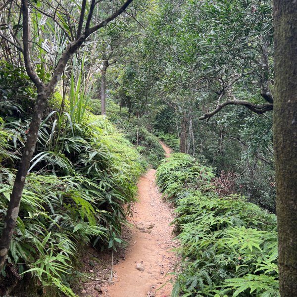 火炎山之旅1775160