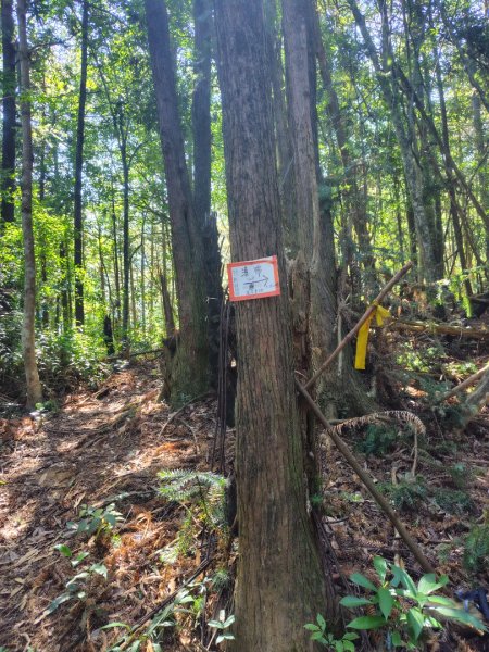 能高瀑布 慶安宮 頂猴洞山 猴頂洞山南峰 福興山2883714
