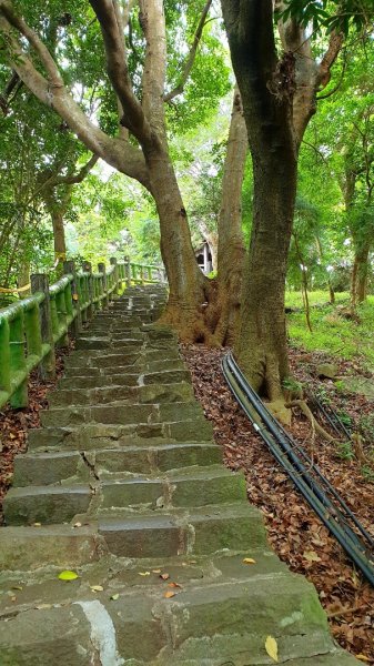 貴子坑步道1062401