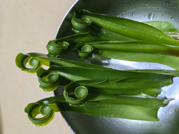 馬那邦山之雲海／雲瀑／楓紅／太陽琉璃光2668328