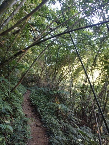 五寮尖登山步道2220404