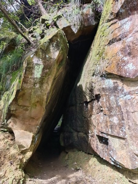 汐止區大尖山櫻花+秀峰瀑布O型3009362