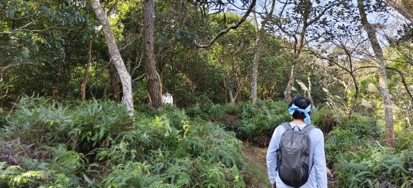2024/12/28-蓮華山古道群：飛龍步道、進香古道、採茶古道、載熙古道2678896