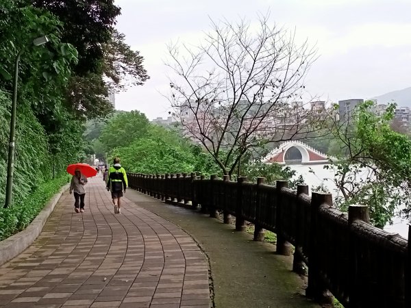 大湖公園 (防災公園)【走路趣尋寶】1899867