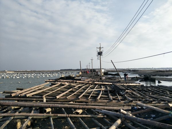 東石白水湖壽島1495542