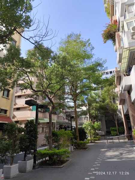 永樂國小、湖光教會、大港墘公園、撫順公園2673013