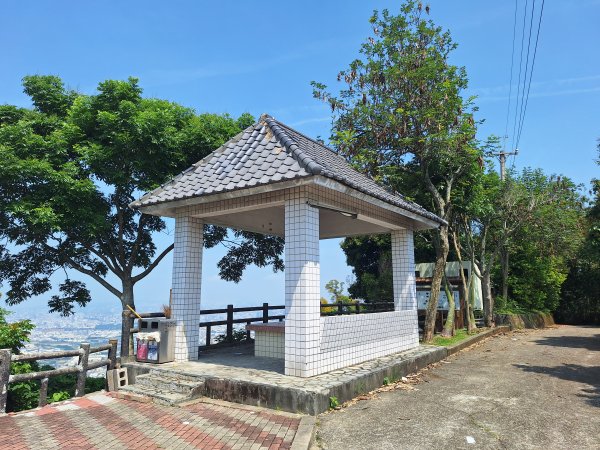 太平車籠山+貓頭鷹步道+番子路山+豬槽山202605023045780