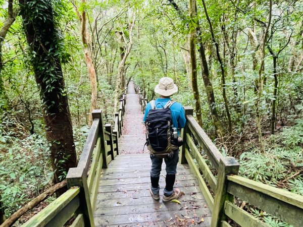 1150124帽子山。25落山風藝術季。2987166