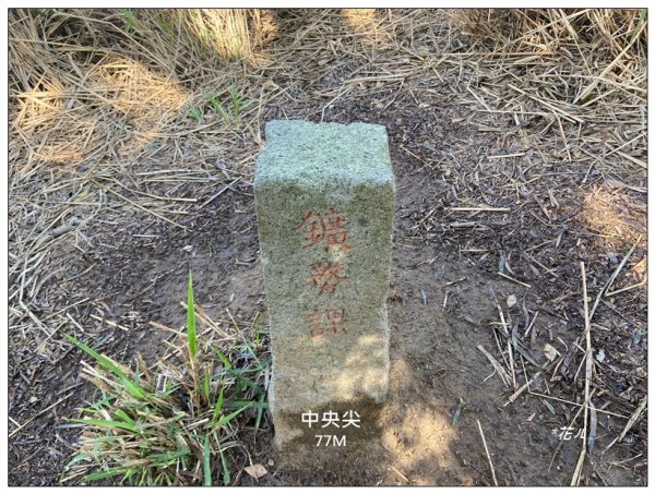 中央尖、山背伯公步道O型路線封面