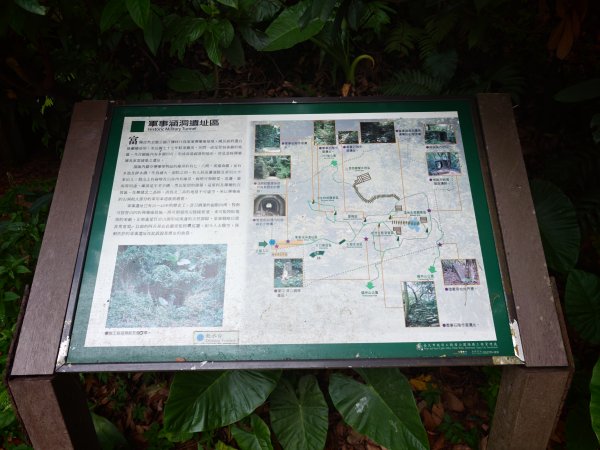 [淡蘭古道] 2026_0523 南路第一段_富陽自然生態步道3069291