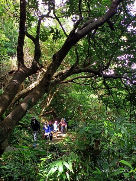 天母古道、內湖大港墘公園、文間山登山口、劍南路潛園【走路趣尋寶、健康大穀東】2273618