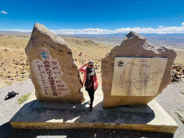 川藏318熱門的卡點-尼瑪-當惹擁措-大地之樹-雅丹地貌聖象天門2905306