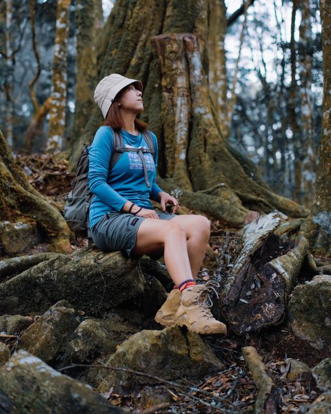 屋我尾山散步2669536