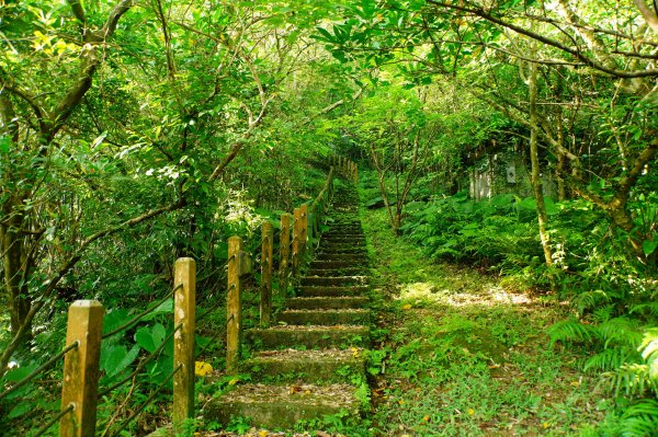 新北 雙溪 蝙蝠山、梅竹蹊山3079898