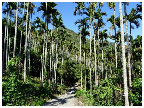 阿拔泉山、觀音石山連走1570776