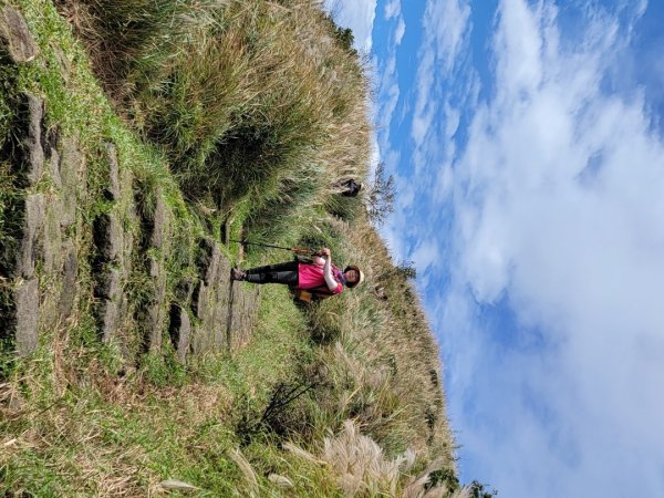 苗圃-七星山主,東峰-大屯山主峰-二子坪-202410262859674