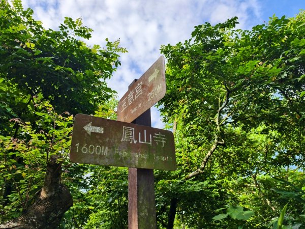 【員林】隴頂古道連走萬里長城及藤山步道O繞2871775