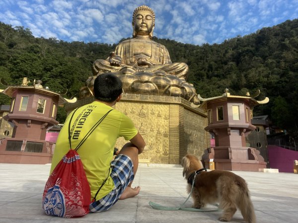 「正德大佛山」世界最高鎏金如來佛祖