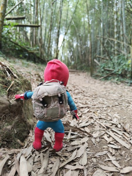 2023.12.30 雲嘉大尖山2840430