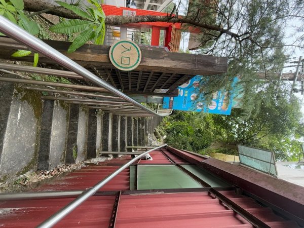 2025元旦 新店獅頭山（小獅山）順遊 高麗坑山，員潭子坑山，待荖坑山，樟湖山，樟山 出政大2680966