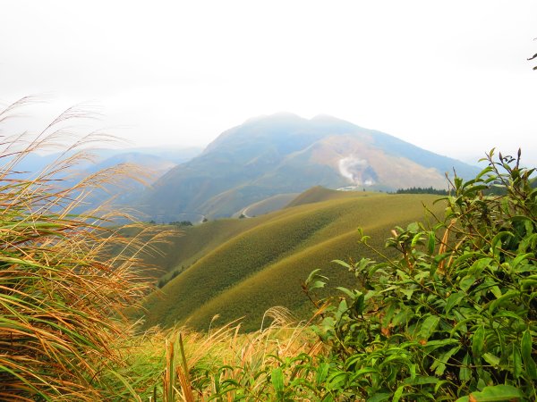 台北抹茶山：登小觀音山群峰眺望全台最大火山口2422043