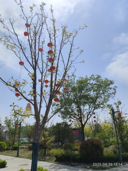 中國山東棲霞亞東老菜館、牟氏莊園、泰安市老泰安餐廳、泰安富力萬達嘉華酒店2779978