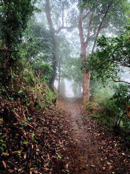 小百岳集起來-獅頭山2182890