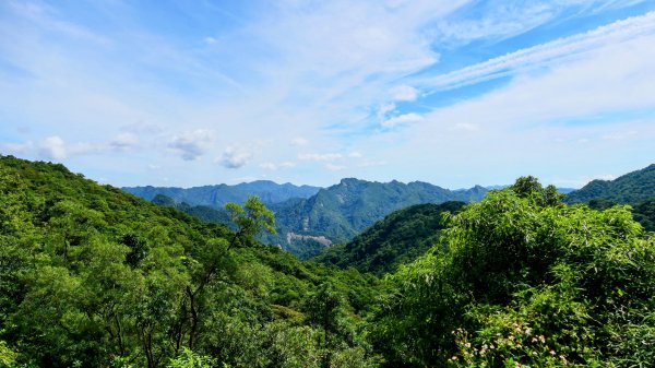 南勢坑小尖,大尖2816049