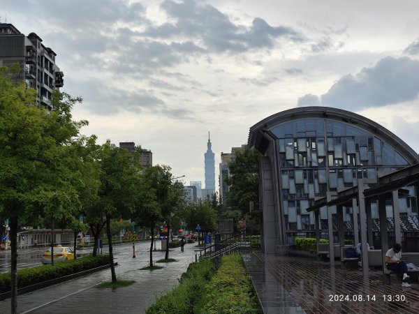 大安森林公園、瑞陽公園、大港墘公園、宏匯瑞光廣場【走路趣尋寶】【臺北健走趣】2574712