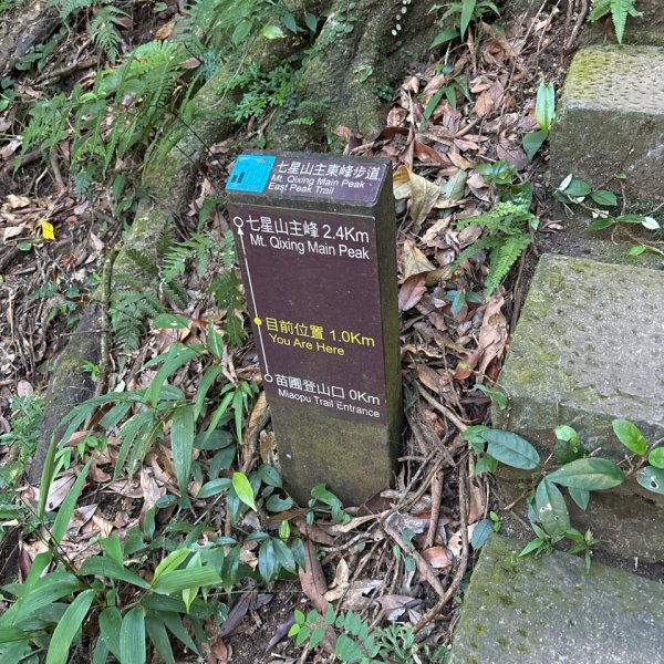 七星山苗圃路線2922631