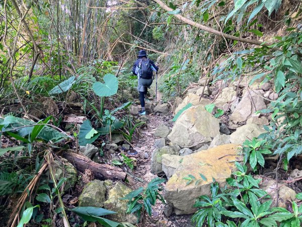 九份二山登山步道2688029