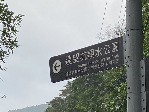 《2025草嶺古道芒花季｜雨天版完整攻略 × 七顆寶石路線實走》2949315