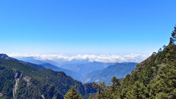 玉山主/東/南/東小南4座百岳（全程大景）1868773