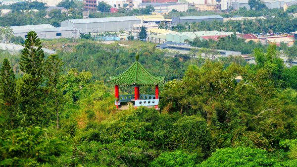 大社觀音山2954771