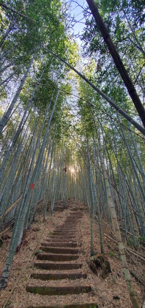 2025-01-30瑞太古道2704372