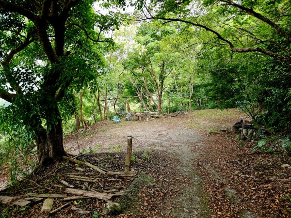加奈美山-小百岳#95-台東縣大武鄉2777007