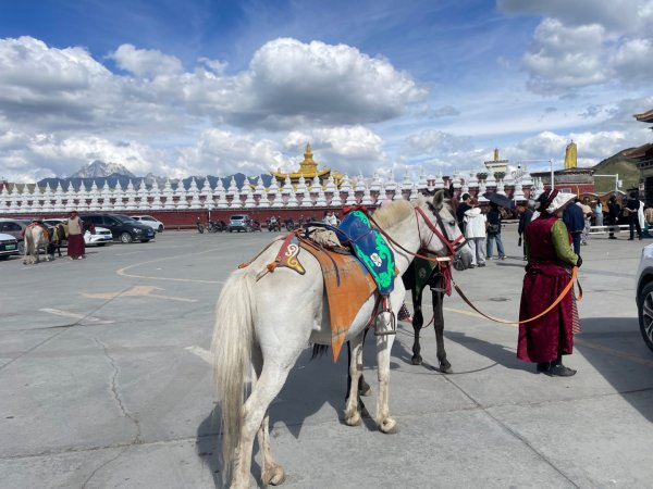 川藏深度之旅33天/A行程2901340